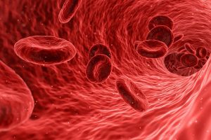 Mucha gente sufre de esto, y casi todas las personas lo ignoramos, sin embargo es más probable que sufras de anemia, en el artículo de hoy verás alimentos para elevar la hemoglobina baja alimentos-elevar-la-hemoglobina