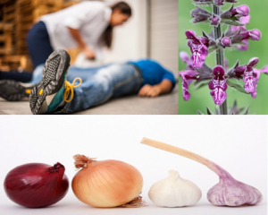 Es posible quitar esta enfermedad con solo usar las plantas medicinales para la epilepsia? La respuesta seria incierta, pero sí es seguro que puede ayudar al tratamiento, gracias a sus beneficios y propiedades.  Plantas medicinales para la epilepsia