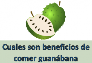 Cuales son beneficios de comer guanábana todos los días