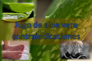 Aunque cada producto sea natural, siempre se tiene que tener en cuenta los posibles efectos secundarios, en este caso hablaremos del jugo de aloe vera contraindicaciones, Jugo de aloe vera contraindicaciones