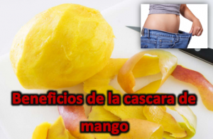 Beneficios y propiedades de la cascara de mango